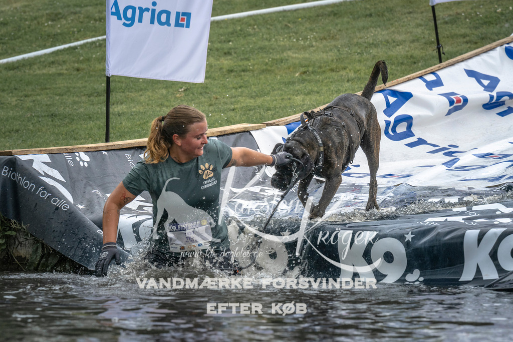 1512_ZZ93993 | kk-dogfotos