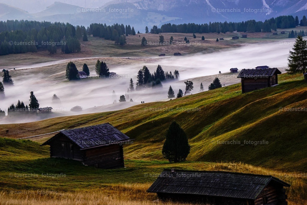 _DSC4961-01 | tuerschis_fotografie - Realisiert mit Pictrs.com