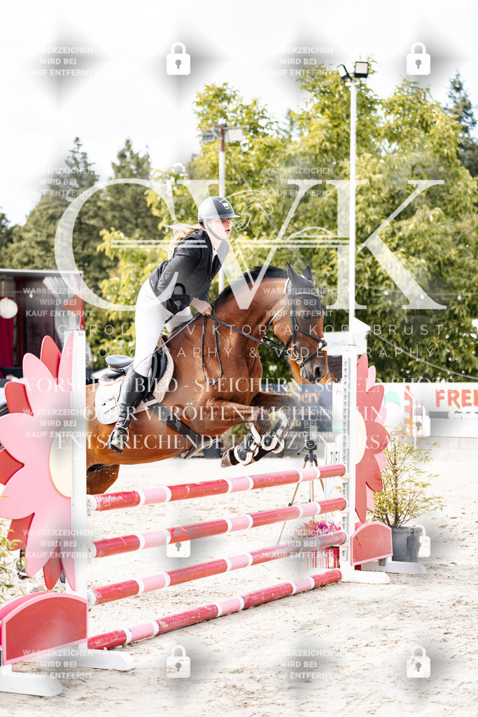 CK903017 | Turnierfotografie Pferdefotografie Trier Rheinland-Pfalz Pferdesport Reitsport Tierfotografie Sportfotografie Pferdevideo Pferdevideografie Equestrianvideography equestrianphotography  - Realisiert mit Pictrs.com