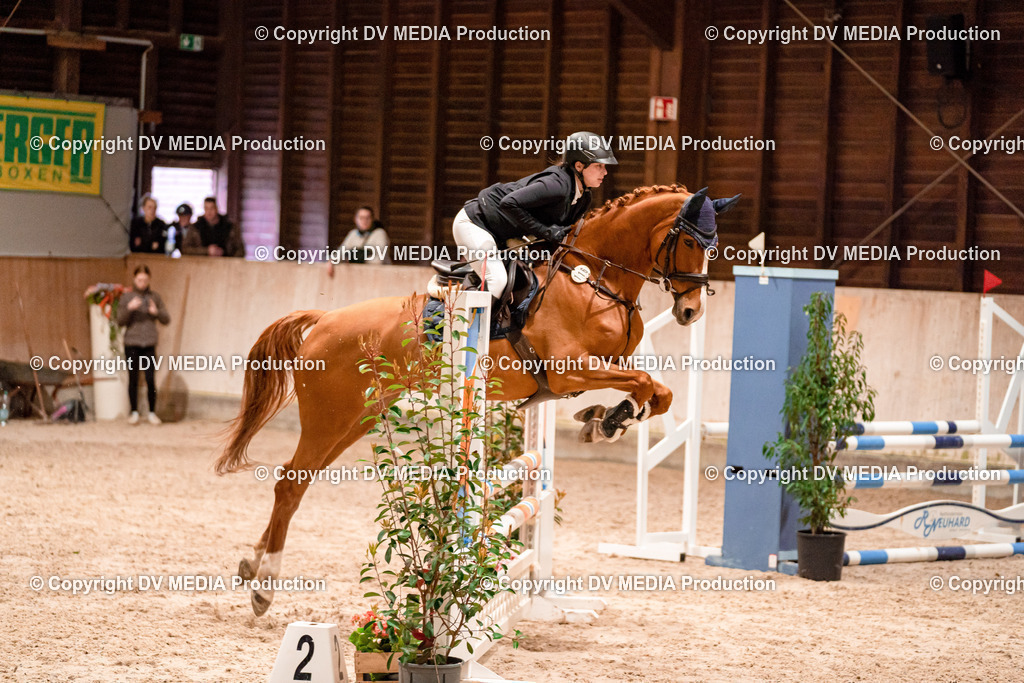 Springen Tag 2-009 | dv-media-shop - Realisiert mit Pictrs.com