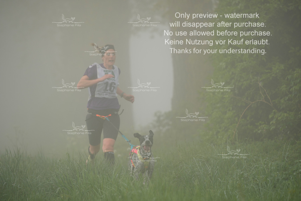 SA_GL2-85 | stephaniefillaphotographie - Realisiert mit Pictrs.com