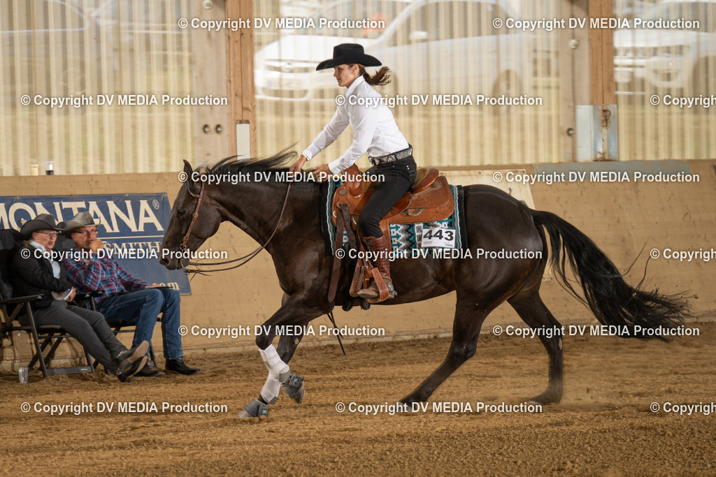 LAU01832 | dv-media-shop - Realisiert mit Pictrs.com