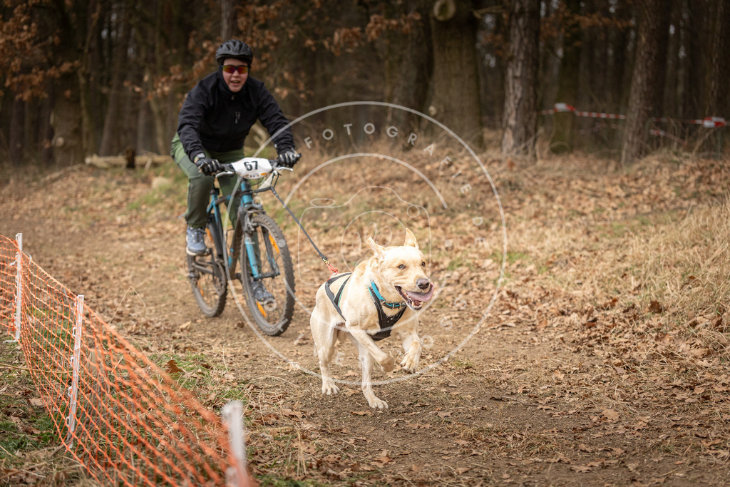 Pfotenfotografie_DV3A3439 | Hundefotografie, Tierfotograf, Pfotenfotografie, Fotoshooting Hund, Hunde Portrait, Hundesport, Hundeportraits, Heideshooting, Hunde, Sportfotograf, Hundefotograf, Turnierhundsport, THS,  - Realisiert mit Pictrs.com