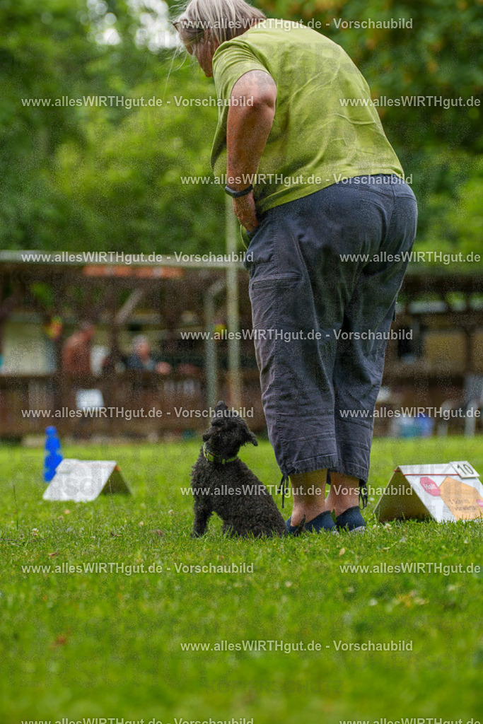 @allesWIRTHgut_Tierfotografie - www.allesWIRTHgut.de - 7R500438 | Professionelle Tierfotografie in Mönchengladbach von Daniel Wirth (allesWIRTHgut). Liebevolle & natürliche Bilder von Hunden & Katzen für unvergessliche Erinnerungen.