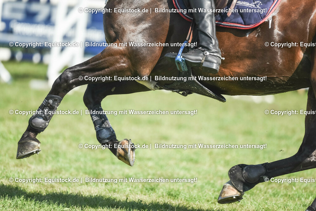 20230909_25_Punktespringen_S_0041 | Foto: Thomas Hartig