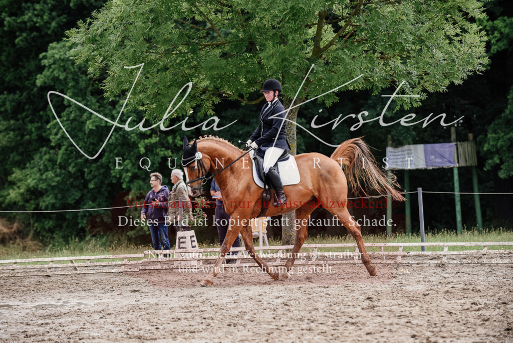 DSC_0689 | Pferde- und Turnierfotografie in Westsachsen. Pferdeportraits, Auftragszeichnungen und intuitive Kunst.