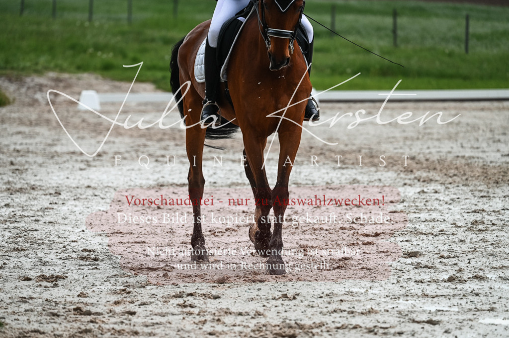 DSC_4377 | Pferde- und Turnierfotografie in Westsachsen. Pferdeportraits, Auftragszeichnungen und intuitive Kunst.