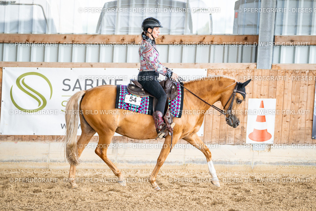 DSC08987 | Pferdegrafie