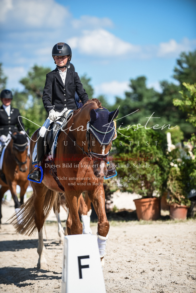 DSC_9713 | Pferde- und Turnierfotografie in Westsachsen. Pferdeportraits, Auftragszeichnungen und intuitive Kunst.