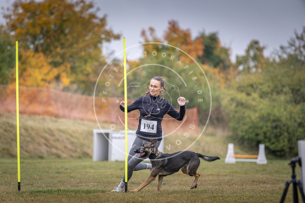 Pfotenfotografie_DV3A0967 | Hundefotografie, Tierfotograf, Pfotenfotografie, Fotoshooting Hund, Hunde Portrait, Hundesport, Hundeportraits, Heideshooting, Hunde, Sportfotograf, Hundefotograf, Turnierhundsport, THS,  - Realisiert mit Pictrs.com