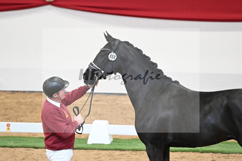 Kat.-Nr. 50 v. Donier_Meyer_2250177 | hf-fotografie - Realisiert mit Pictrs.com