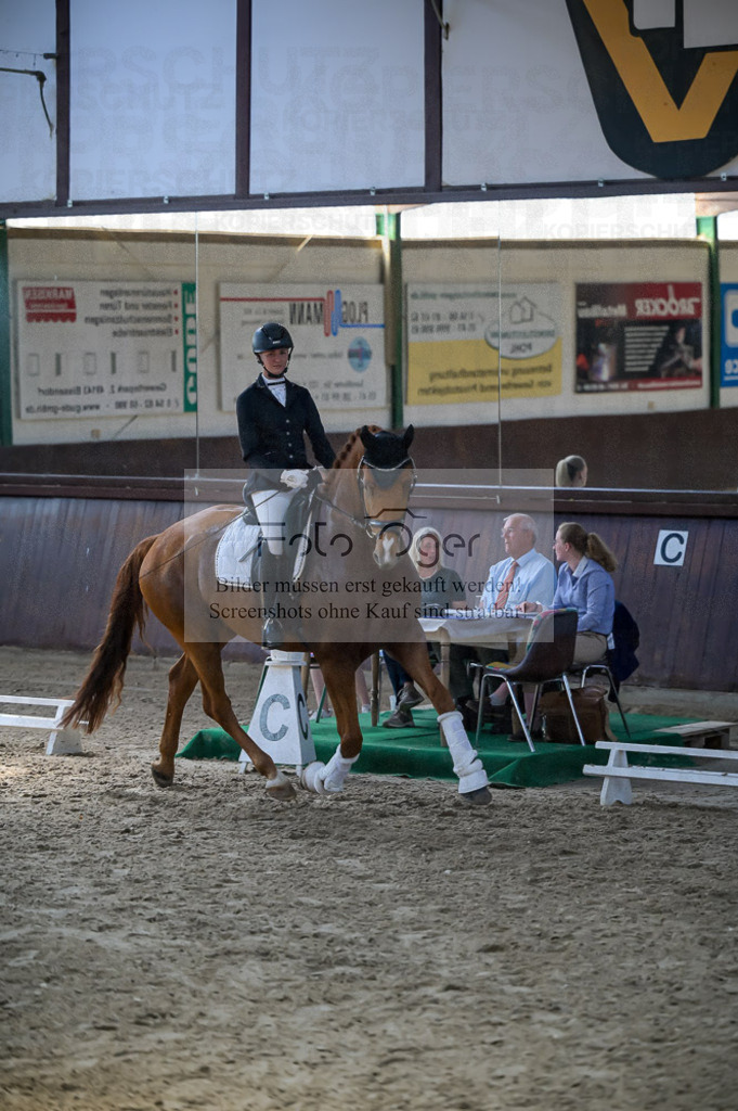 Reitturnier Voxtrup | Entdecke hochwertige Reitturnierfotos von Foto Oger. Professionell, emotional und authentisch – jetzt Lieblingsmomente im Shop bestellen.Deutschlandweite Turnierfotografie. - Realisiert mit Pictrs.com
