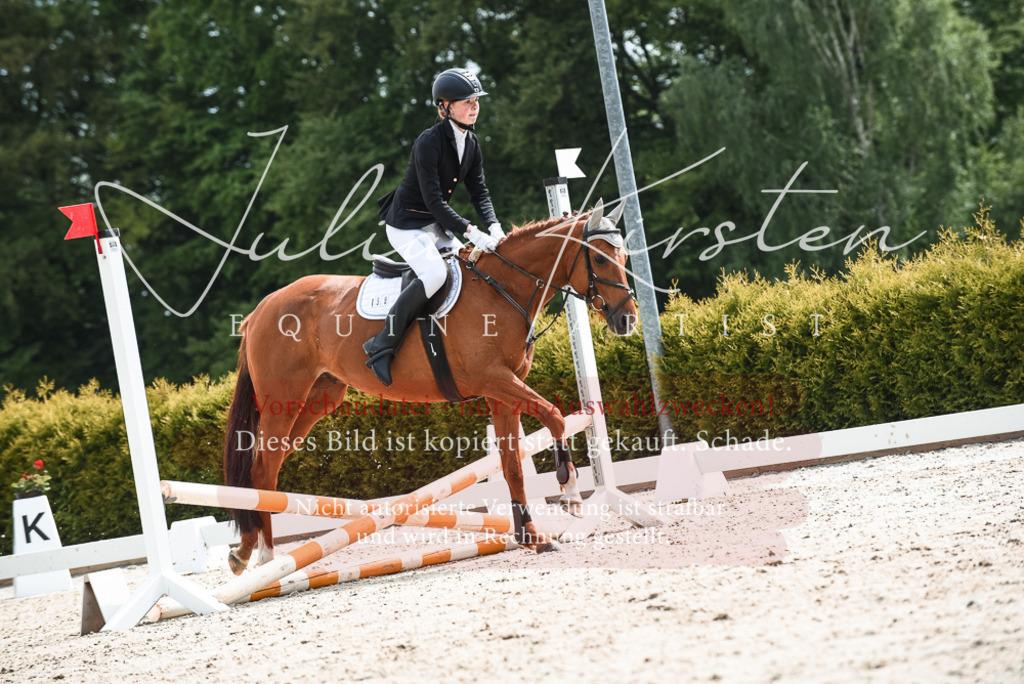 20230518_JK-Röhrsdorf-10-139 | Pferde- und Turnierfotografie in Westsachsen. Pferdeportraits, Auftragszeichnungen und intuitive Kunst.