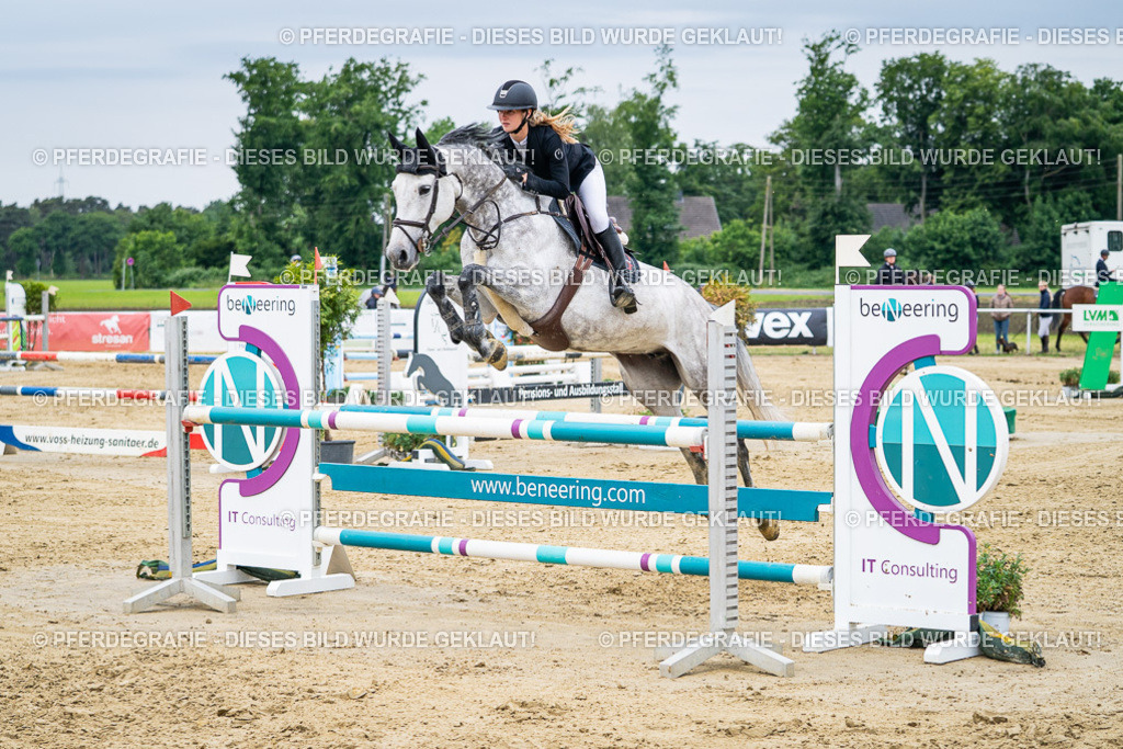 DSC05253 | Pferdegrafie