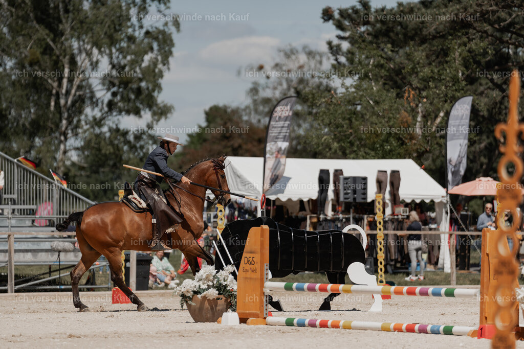 WE_ST_Stoib_313_PI2025_1296 | Pferd International München 2025