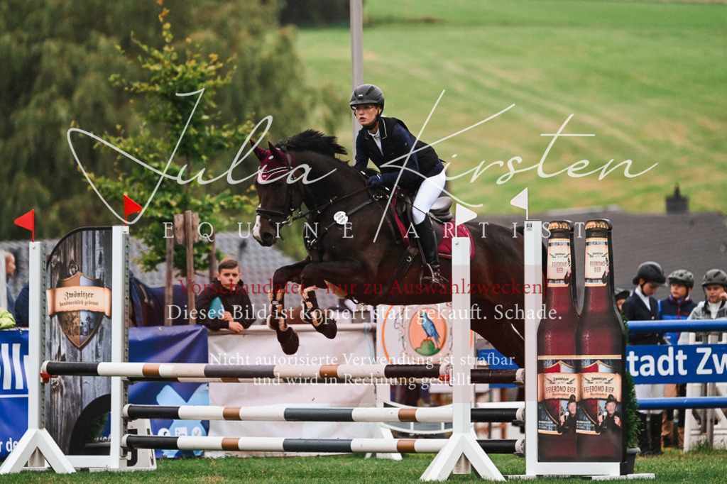 DSC_6530 | Pferde- und Turnierfotografie in Westsachsen. Pferdeportraits, Auftragszeichnungen und intuitive Kunst.