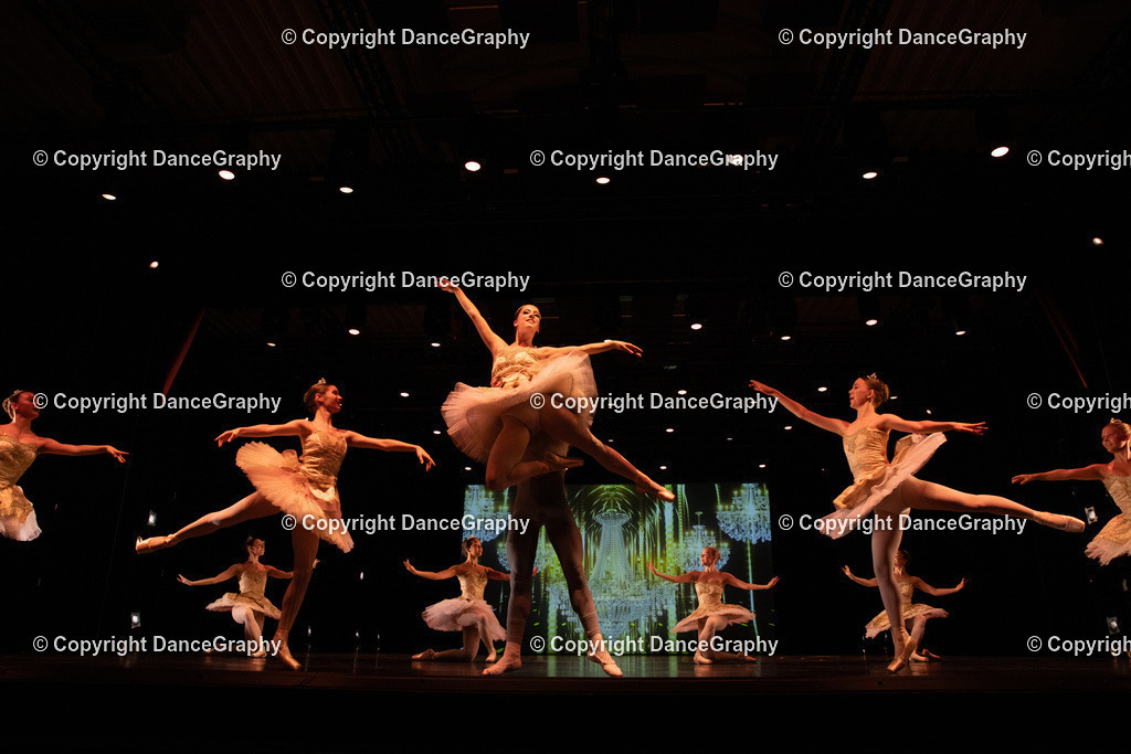 GPHY6552 | DanceGraphy - Realisiert mit Pictrs.com