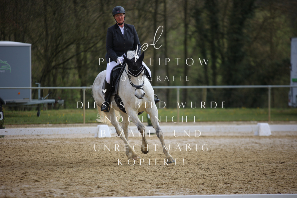 IMGT5833 | pl-fotografie