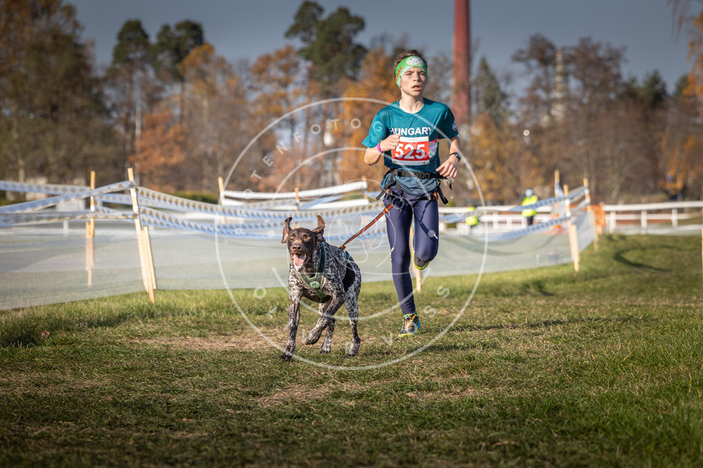 CaniXpix_0L8A8816 | Hundefotografie, Tierfotograf, Pfotenfotografie, Fotoshooting Hund, Hunde Portrait, Hundesport, Hundeportraits, Heideshooting, Hunde, Sportfotograf, Hundefotograf, Turnierhundsport, THS,  - Realisiert mit Pictrs.com