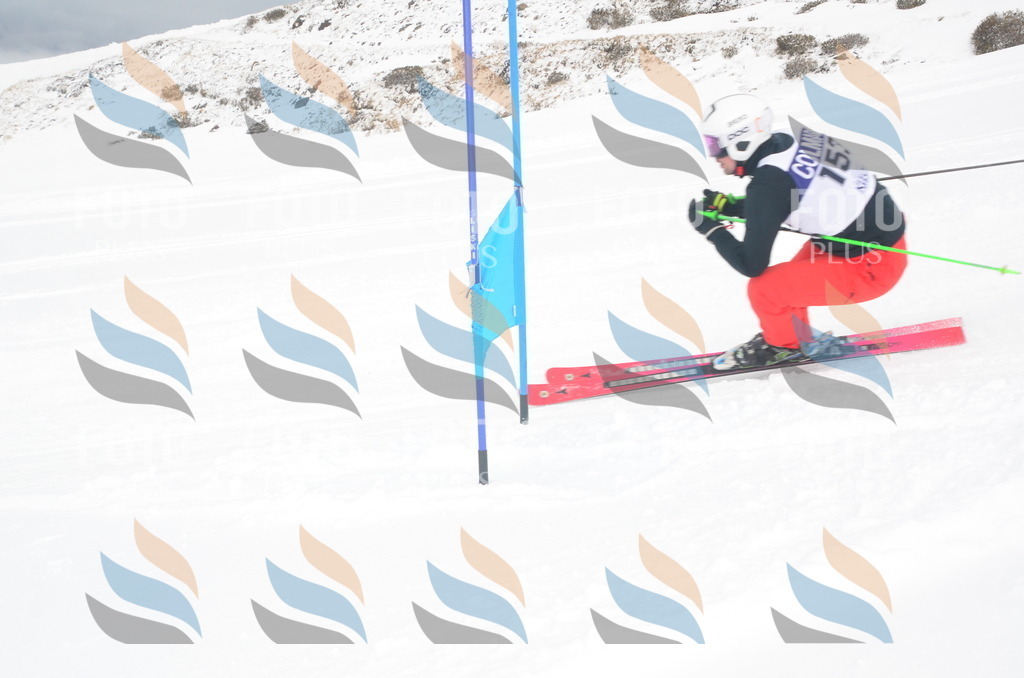 A6268 | holidayphoto