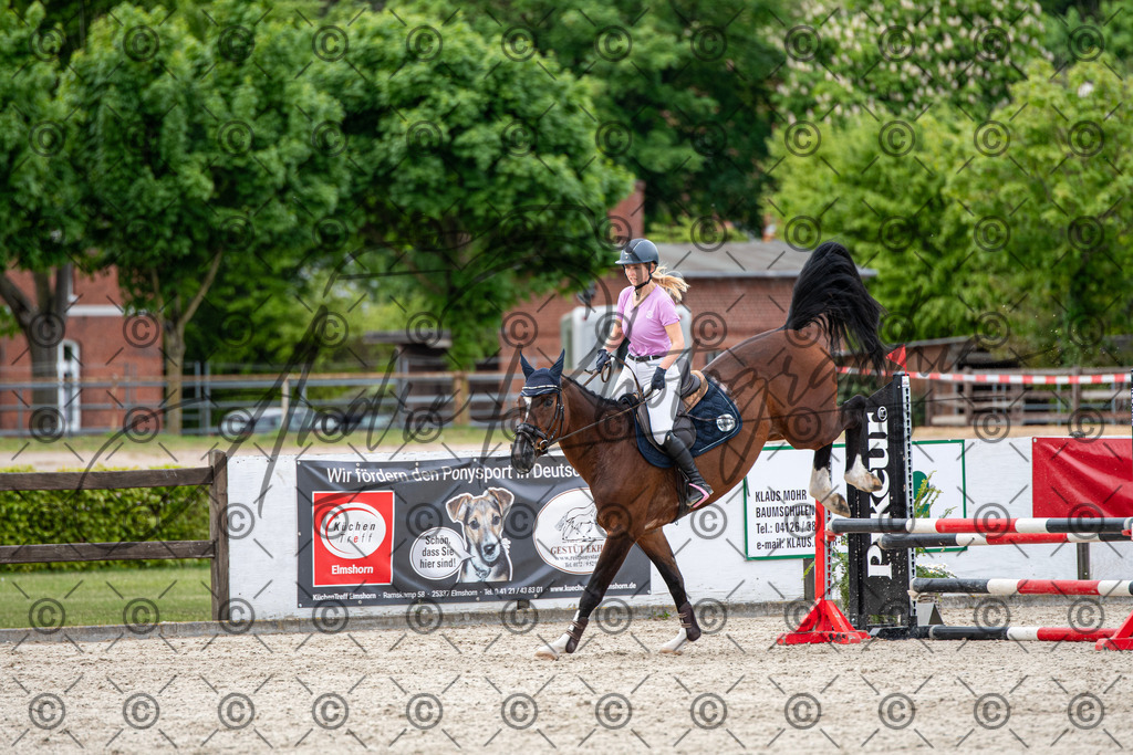 KPT_7128 | andre_photographic