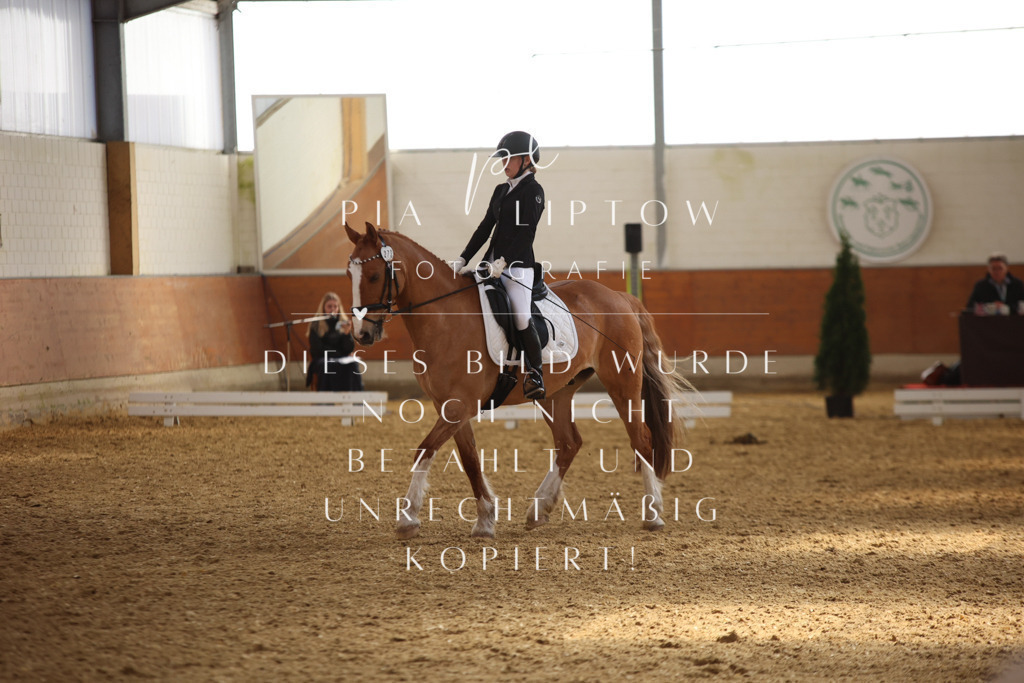 IMGT3927 | pl-fotografie