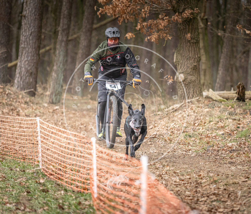 Pfotenfotografie_DV3A1484 | Hundefotografie, Tierfotograf, Pfotenfotografie, Fotoshooting Hund, Hunde Portrait, Hundesport, Hundeportraits, Heideshooting, Hunde, Sportfotograf, Hundefotograf, Turnierhundsport, THS,  - Realisiert mit Pictrs.com