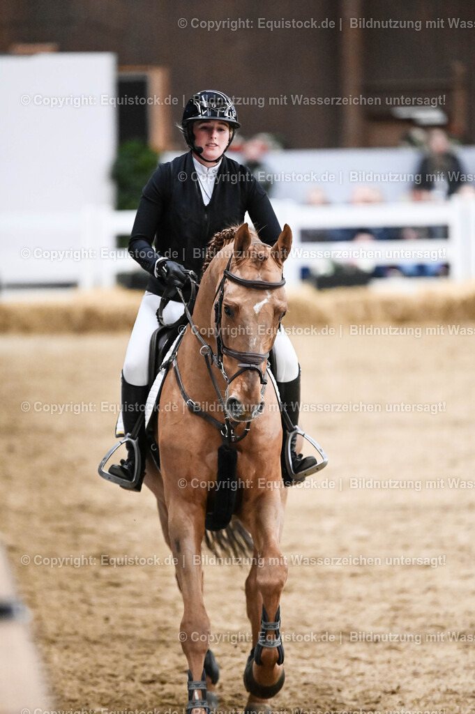 20260307_Hengstvorstellung-Marbach_0148 | equistock