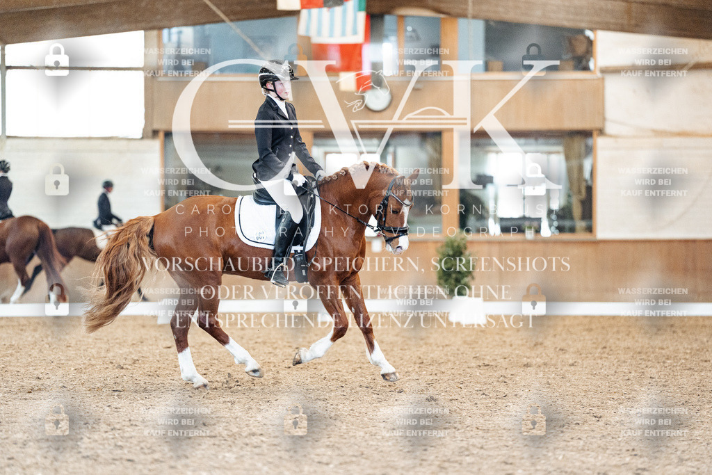 CK908965 | Turnierfotografie Pferdefotografie Trier Rheinland-Pfalz Pferdesport Reitsport Tierfotografie Sportfotografie Pferdevideo Pferdevideografie Equestrianvideography equestrianphotography  - Realized with Pictrs.com