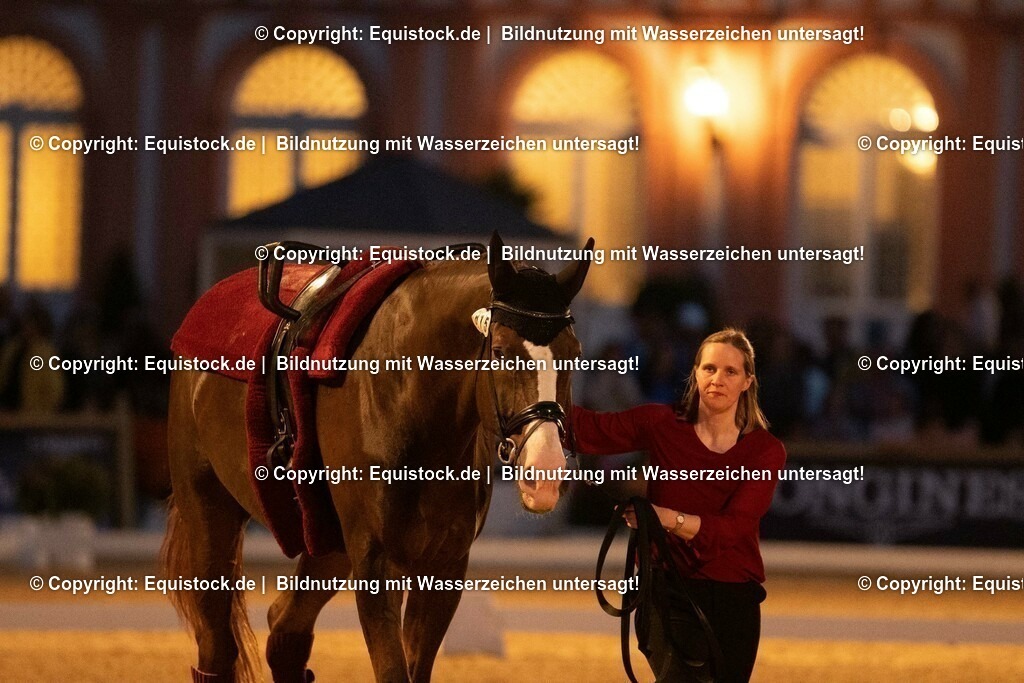 20230527_Voltigieren_NASPA_Flutlicht_0639 | equistock