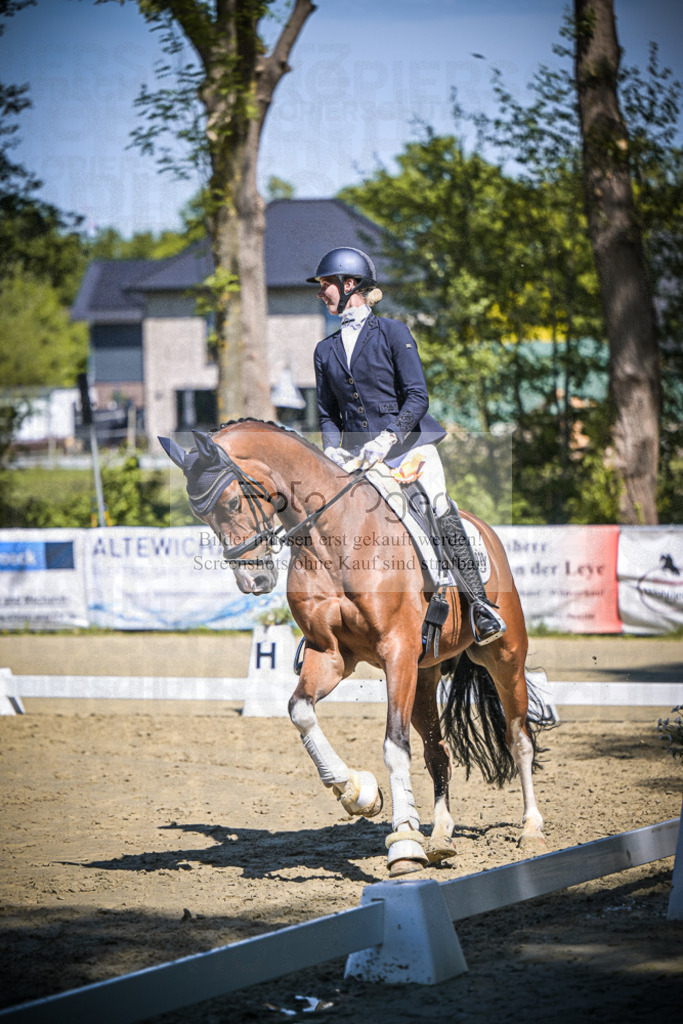 DOS_6688 | Entdecke hochwertige Reitturnierfotos von Foto Oger. Professionell, emotional und authentisch – jetzt Lieblingsmomente im Shop bestellen.Deutschlandweite Turnierfotografie. - Realisiert mit Pictrs.com