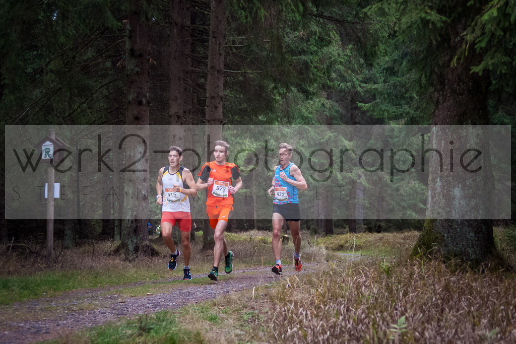 Herbstlauf 2018 | Neuhaus/Rwg. - Masserberg am 7. Oktober 2018