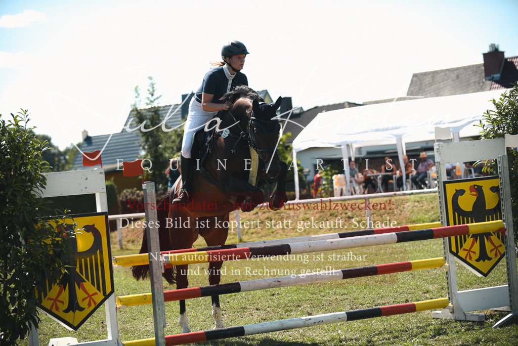 DSC_7016 | Pferde- und Turnierfotografie in Westsachsen. Pferdeportraits, Auftragszeichnungen und intuitive Kunst.