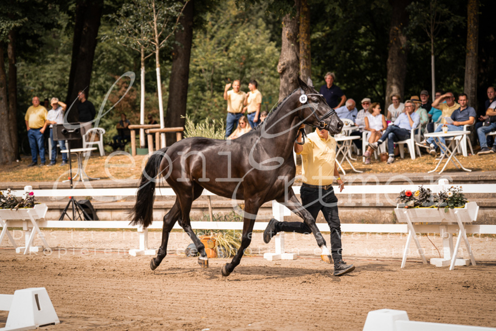 4.Fr00131 | Leoni Ertmer Photography - Realisiert mit Pictrs.com