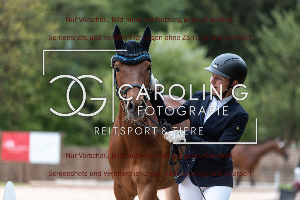 DSC_7084 | Turnierfotografin Carolin Gieschke,Reitsport Turnierfotografie Carolin G Fotografie | Turnierfotos aus Kirchheim/Teck, Esslingen, Stuttgart und dem Bodenseekreis