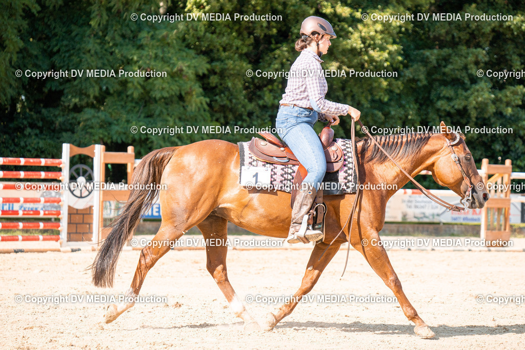 ZH100708 | dv-media-shop - Realisiert mit Pictrs.com