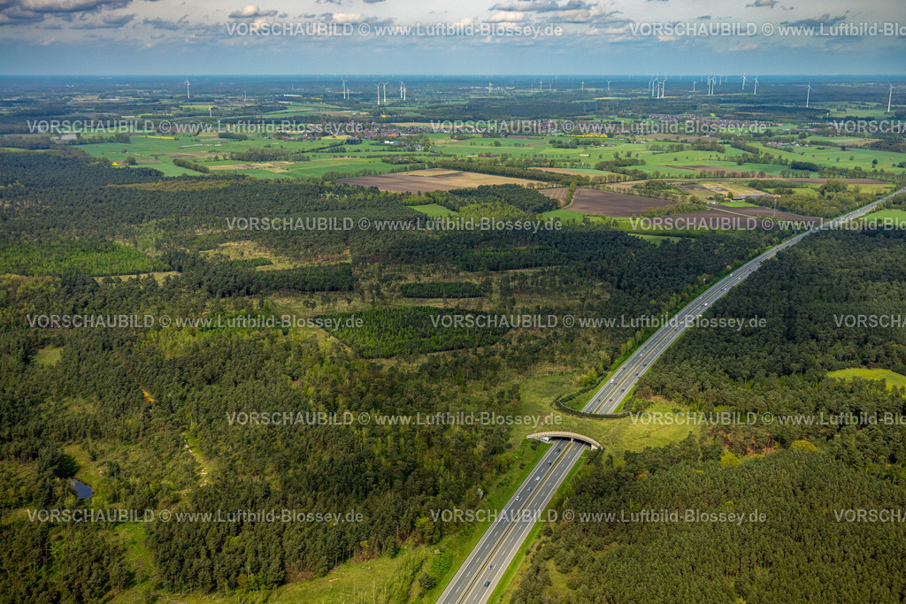 Schermbeck240402089UefterMark | Luftbild, Waldgebiet Üfter Mark, Autobahn A31 mit Grünbrücke bzw. Wildbrücke für gefahrlose Überquerung von Wildtieren, Wildwechsel, Altschermbeck, Schermbeck, Münsterland, Nordrhein-Westfalen, Deutschland