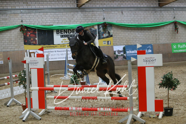 IMG_0616 | Turnierfotos kaufen im Webshop von Daniel Kuhl Photography – entdecke professionelle Reitsportfotos aus Turnieren & Events. Hochwertige Turnierbilder online bestellen & sichern. Jetzt Fotos von Reitsportturnieren kaufen!