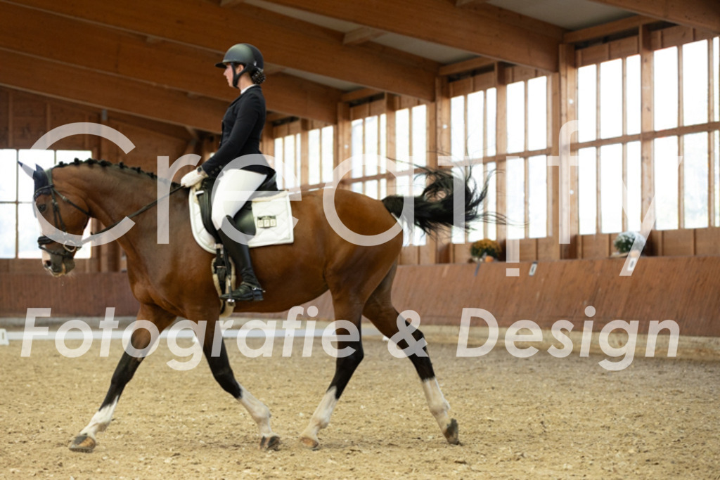 IMG_5012 | Creatify Fotografie