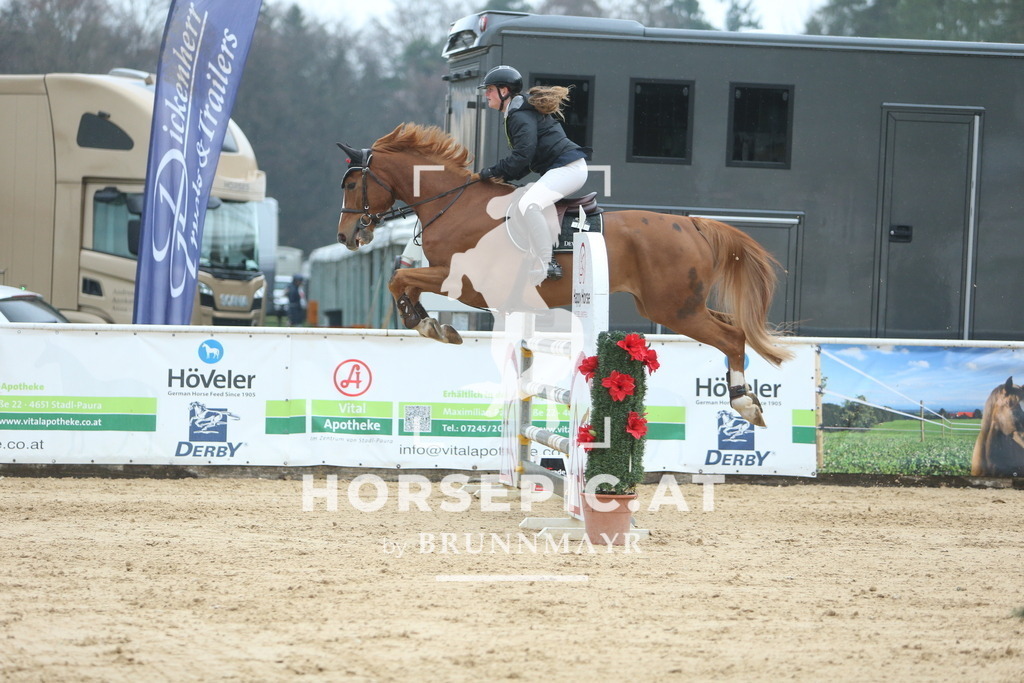 DL2Q7365 | Willkommen bei Brunnmayr - Design & Fotografie – Ihrem Spezialisten für Reitturniere und Pferdeveranstaltungen in Oberösterreich, Salzburg und Bayern! Seit über 17 Jahren sind wir leidenschaftlich dabei.