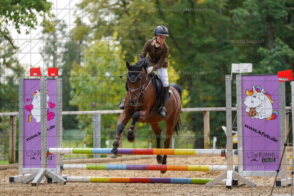 20231008-SN_01207 | Professionelle Turnier- und Reitsportfotografie - mit dem Finger am Auslöser. Pferdebilder aus dem Reitsport von den Turnierfotografen  Bayern , Pferdefotograf Bayern, Pferdeshooting Turnierbilder, Hochzeitsfotograf, Eventfotograf, Hochzeitsbilder