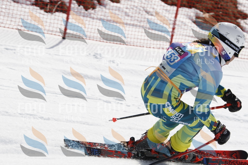 _U3G1292 | holidayphoto