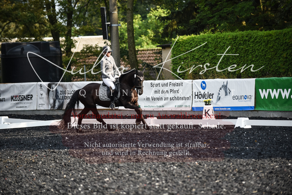 DSC_3309 | Pferde- und Turnierfotografie in Westsachsen. Pferdeportraits, Auftragszeichnungen und intuitive Kunst.