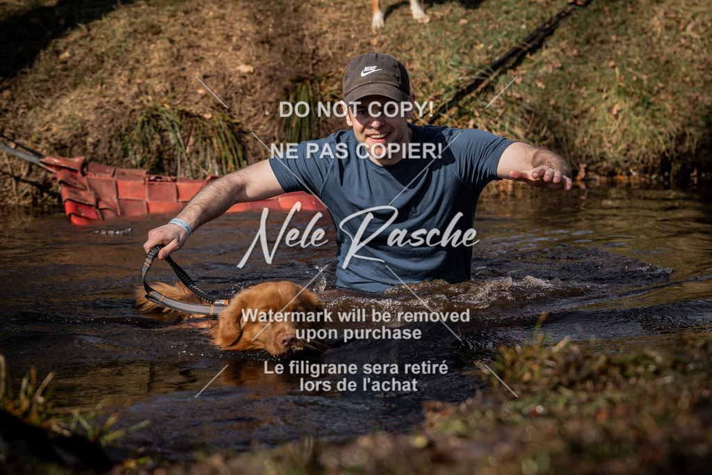 nelerasche_FS1230-1300_303 | nelerasche