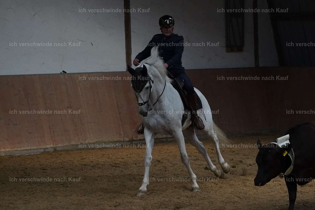 KlasseS_Lucie (69) | working equitationturnier fotograf videograf stoibphotography marixx film working equitation deutschland reitsport turnierfotografie eventfotografie equestrian events