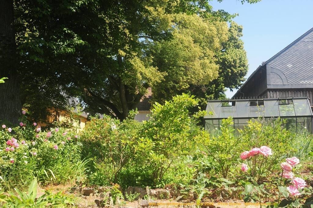 Geißmannsdorf-2026-Ortsbilder-122 | Geißmannsdorf bei Bischofswerda im Sommer 2026. Ein fotografischer Streifzug durch das Dorf Geißmannsdorf, mit Gebäuden, Straßen, Strohpuppen und geschmückten Vorgärten und Grundstücken anlässlich der 800-Jahr-Feier von Geißmannsdorf im Juni 2026 - Realisiert mit Pictrs.com
