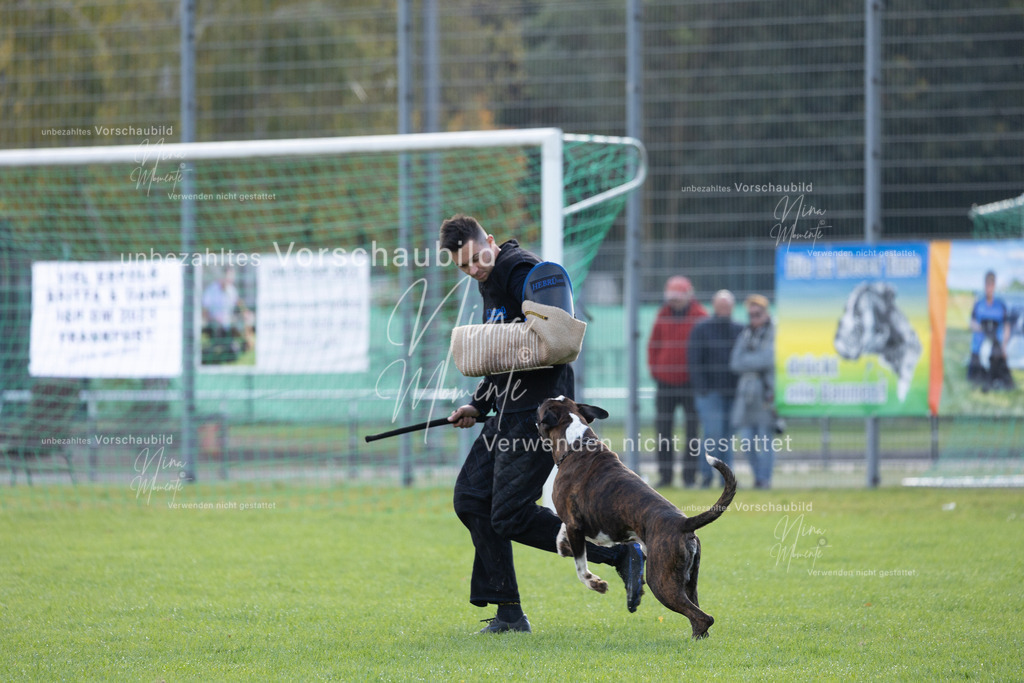 _16A6492 | Einzigartige Fotos von Hunden & Menschen –Actionfotos, Portraits, Vereinsaufnahmen & Paarshootings – authentisch, lebendig & mit Herz.