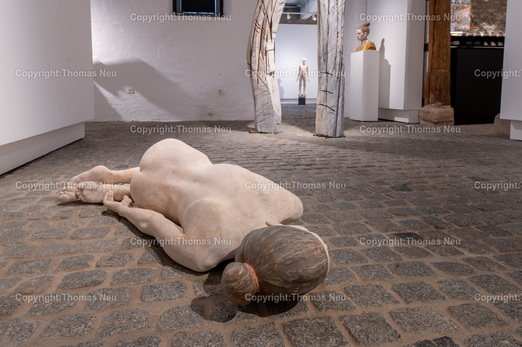DSC_9116 | Museum Bensheim, Ausstellung Jochen Walpoth, 