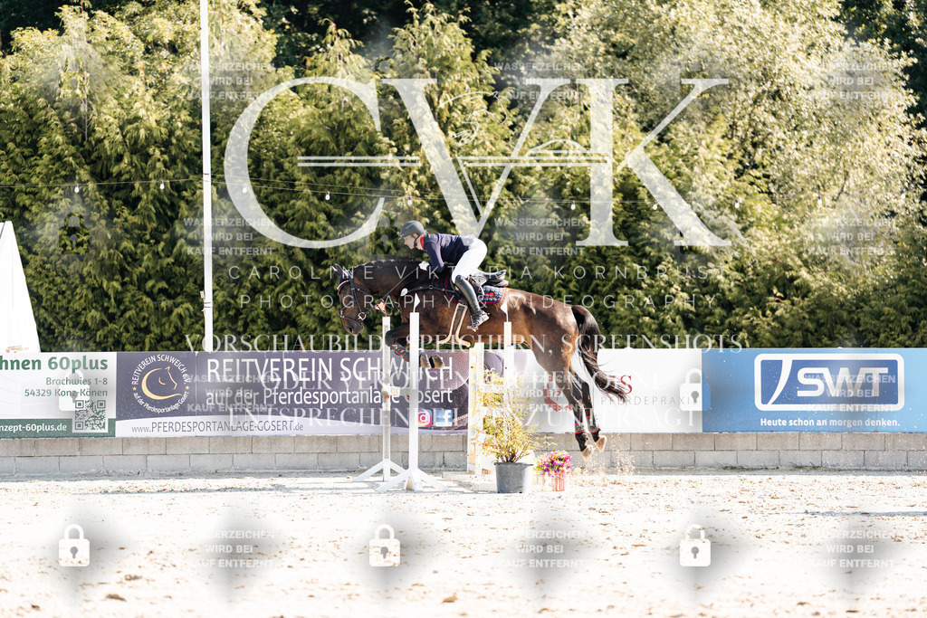 CK902405 | Turnierfotografie Pferdefotografie Trier Rheinland-Pfalz Pferdesport Reitsport Tierfotografie Sportfotografie Pferdevideo Pferdevideografie Equestrianvideography equestrianphotography  - Realisiert mit Pictrs.com