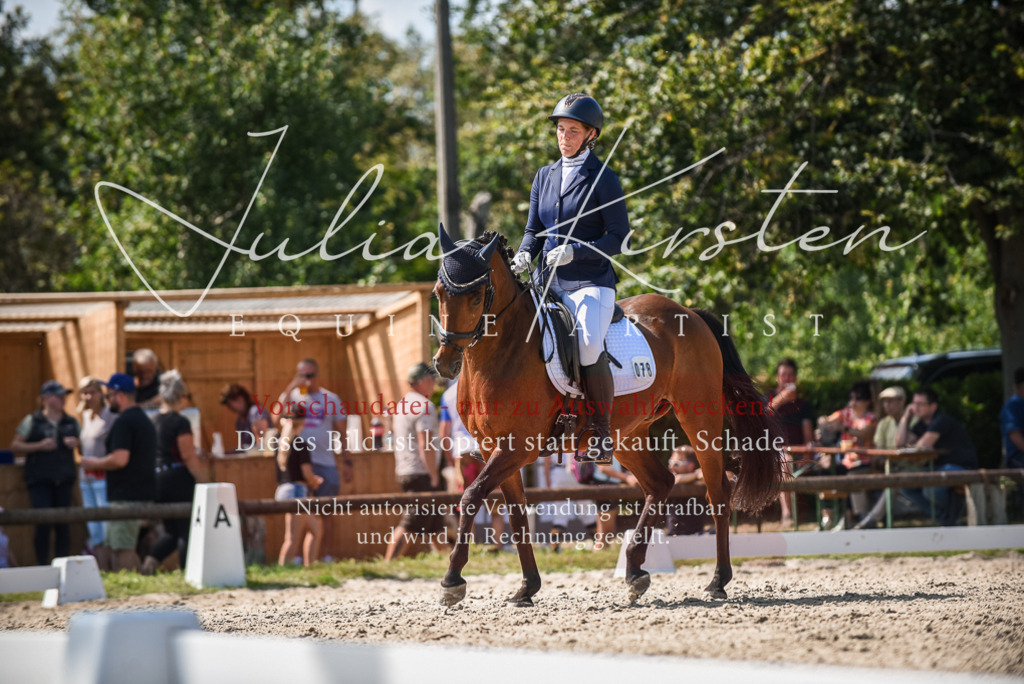 DSC_9462 | Pferde- und Turnierfotografie in Westsachsen. Pferdeportraits, Auftragszeichnungen und intuitive Kunst.